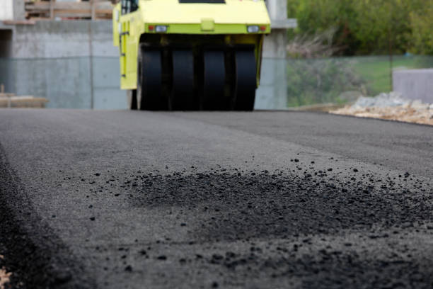 Best Decorative Driveway Pavers  in Connerton, FL