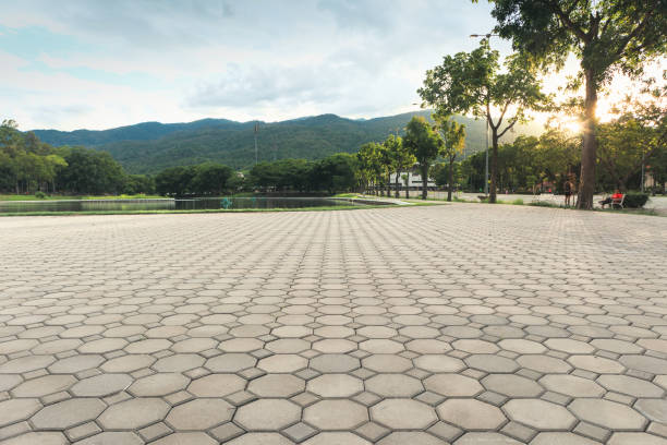 Best Concrete Paver Driveway  in Connerton, FL